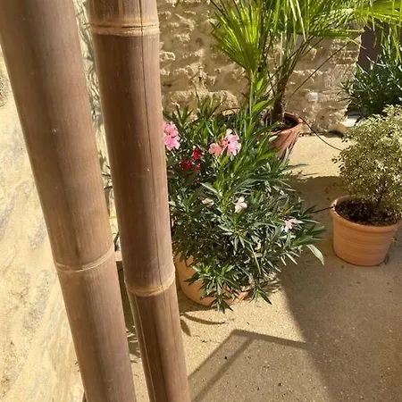 , Coeur De Village « sous Le Clocher» Casa vacanze *